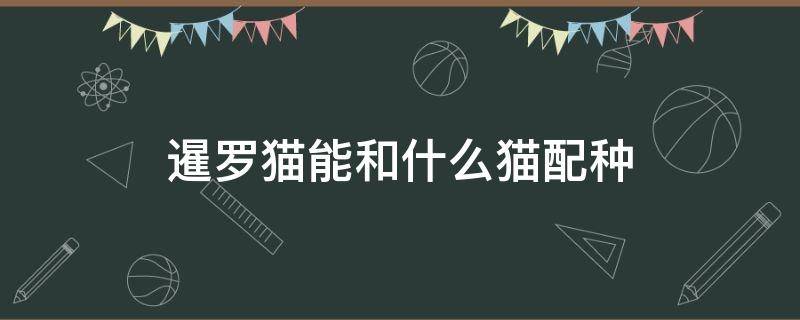 暹罗猫能和什么猫配种 暹罗猫和什么猫杂交好