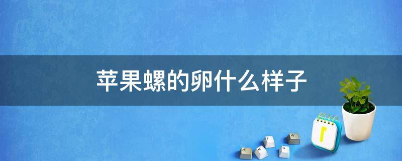 苹果螺的卵什么样子 苹果螺的卵长啥样