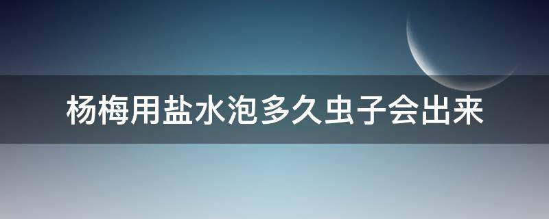 杨梅用盐水泡多久虫子会出来（杨梅用盐水泡出虫子还能吃吗）