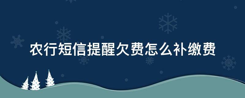 农行短信提醒欠费怎么补缴费（中国农业银行短信欠费怎么补缴）