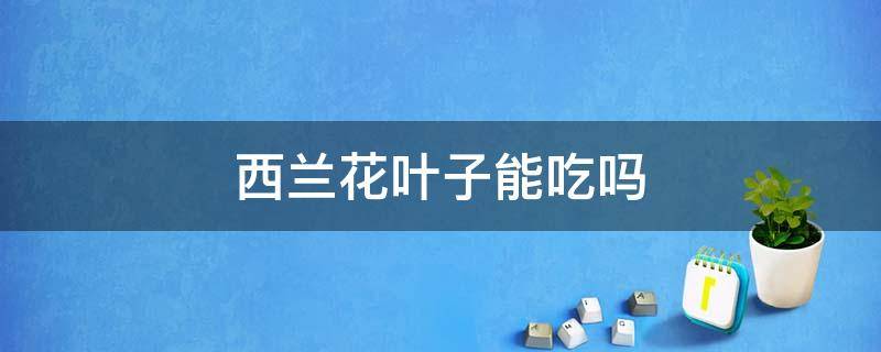 西兰花叶子能吃吗 西兰花菜的叶子能吃吗