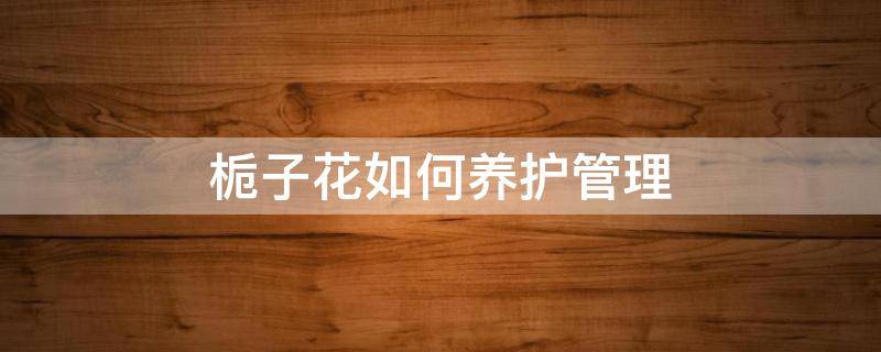 栀子花如何养护管理（栀子花怎样管理）