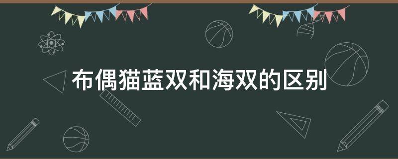 布偶猫蓝双和海双的区别（布偶猫蓝双和海双的区别是什么）