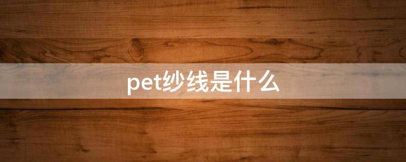 pet纱线是什么（pet纱线是什么材料）