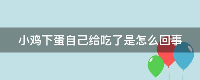 小鸡下蛋自己给吃了是怎么回事（小鸡下蛋自己吃了怎么办）