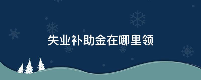 失业补助金在哪里领（失业补助金在哪里领取）