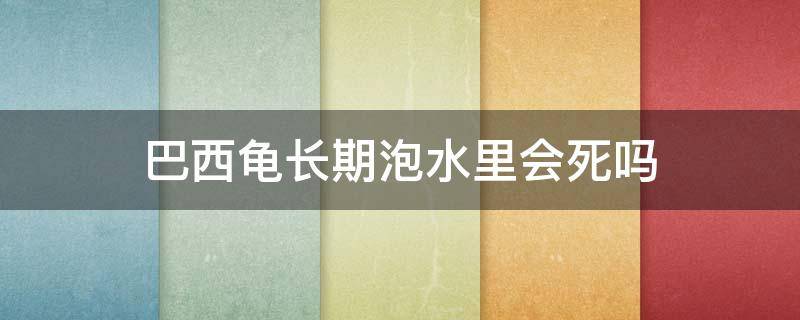 巴西龟长期泡水里会死吗 巴西龟不放水里多久会死