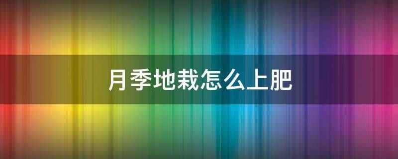 月季地栽怎么上肥 地栽月季如何追肥