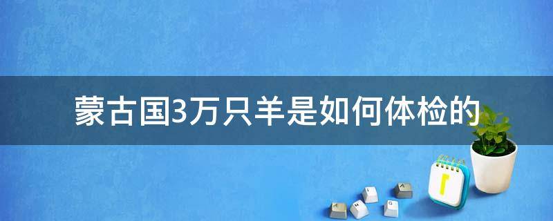 蒙古国3万只羊是如何体检的 蒙古国3万只羊是如何体检的 app