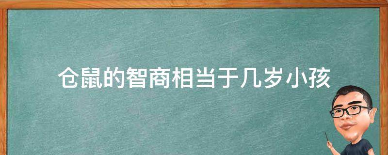 仓鼠的智商相当于几岁小孩（仓鼠智力几岁）