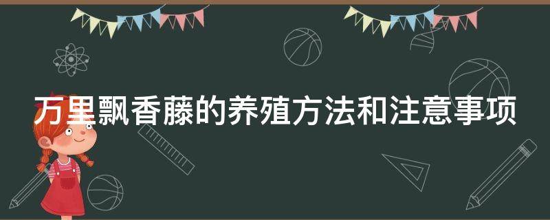 万里飘香藤的养殖方法和注意事项（万里飘香藤的养殖方法和注意事项图片）