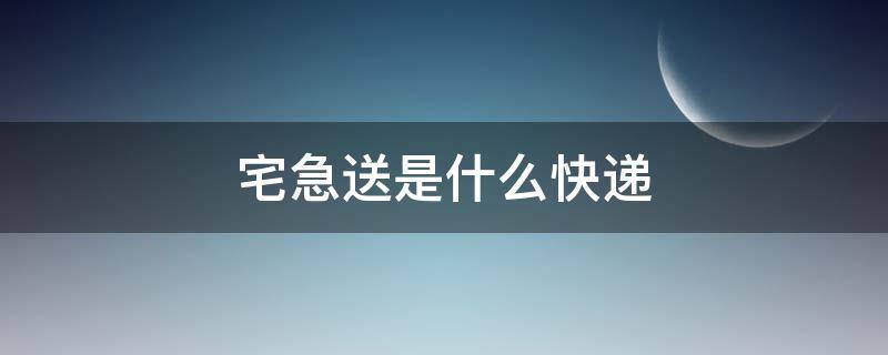 宅急送是什么快递 宅急送是什么快递,快吗