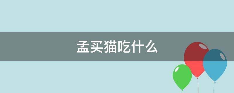 孟买猫吃什么（孟买猫吃什么猫粮好呢）