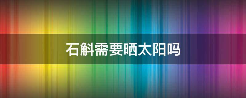 石斛需要晒太阳吗（铁皮石斛需要晒太阳吗）