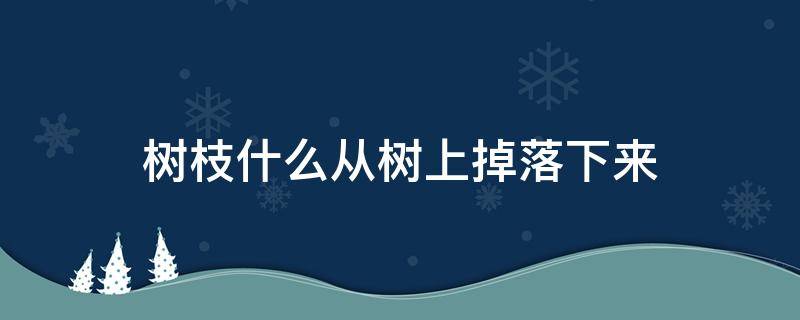 树枝什么从树上掉落下来 树枝什么从树上掉落下来填声音词