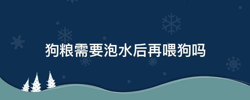 狗粮需要泡水后再喂狗吗 狗粮喂的时候需要泡水吗