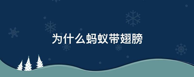 为什么蚂蚁带翅膀 蚂蚁带翅膀是什么蚂蚁