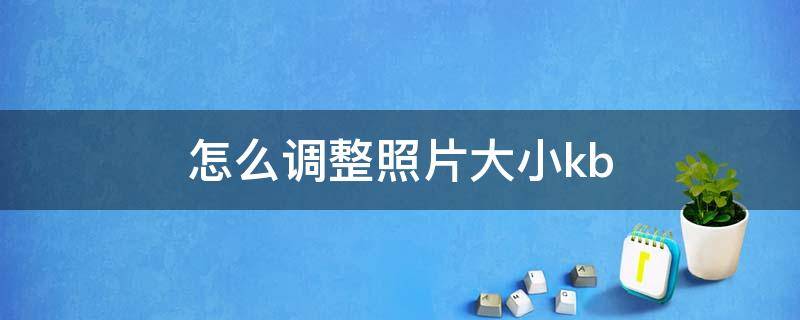 怎么调整照片大小kb（怎么调整照片大小kb在200k以内）