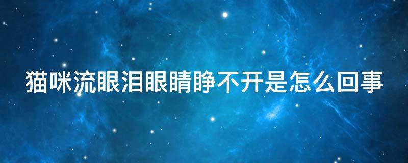 猫咪流眼泪眼睛睁不开是怎么回事 猫咪流眼泪眼睛都睁不开怎么办