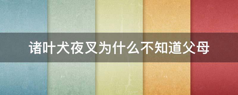 诸叶犬夜叉为什么不知道父母 犬夜叉为什么不管诸叶