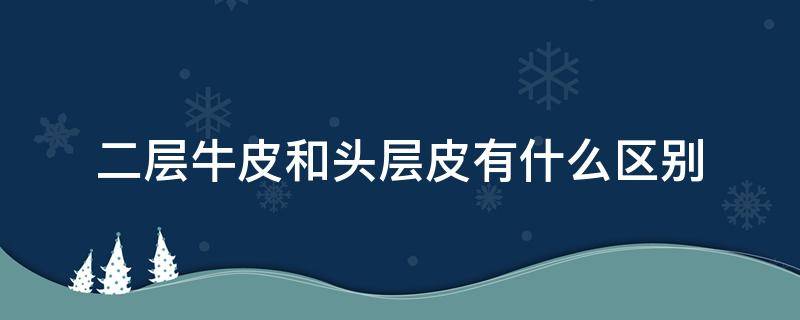 二层牛皮和头层皮有什么区别 二层和头层牛皮的区别