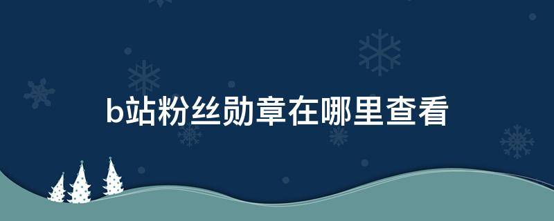 b站粉丝勋章在哪里查看 b站粉丝勋章在哪里领取