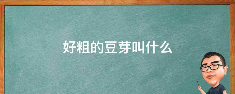 好粗的豆芽叫什么 特别粗的豆芽菜叫什么