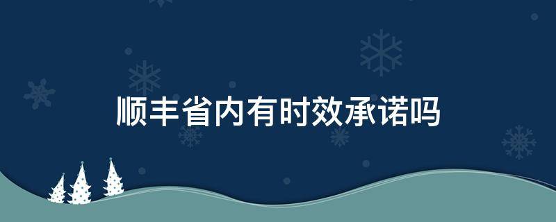 顺丰省内有时效承诺吗（顺丰快递有承诺时间吗）