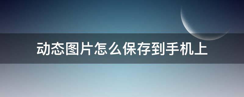 动态图片怎么保存到手机上 动态图片如何保存到手机