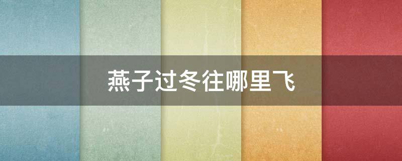 燕子过冬往哪里飞 湖北的燕子过冬往哪里飞