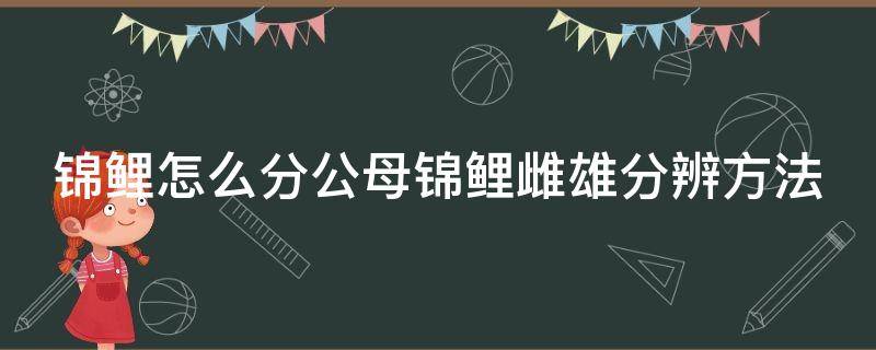 锦鲤怎么分公母锦鲤雌雄分辨方法 锦鲤的公母怎么分辨怎么看