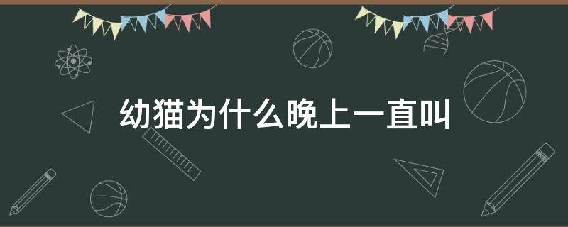 幼猫为什么晚上一直叫（幼猫每天晚上都叫）