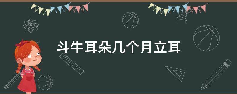 斗牛耳朵几个月立耳（法国斗牛犬几个月立耳）