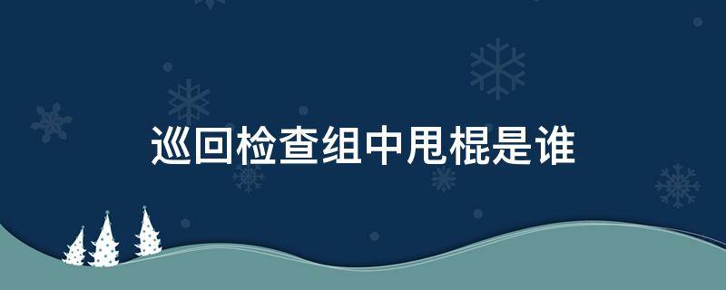 巡回检查组中甩棍是谁（巡回检查组里到底谁是甩棍）