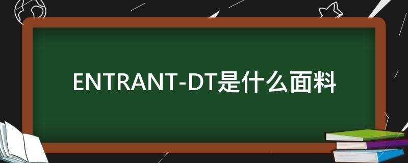 ENTRANT-DT是什么面料（dt是什么材质）