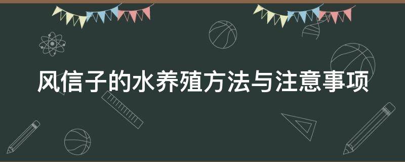 风信子的水养殖方法与注意事项（风信子的水养殖方法与注意事项是什么）