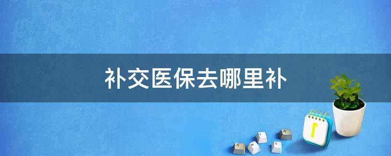 补交医保去哪里补（补交医保去哪里补办）