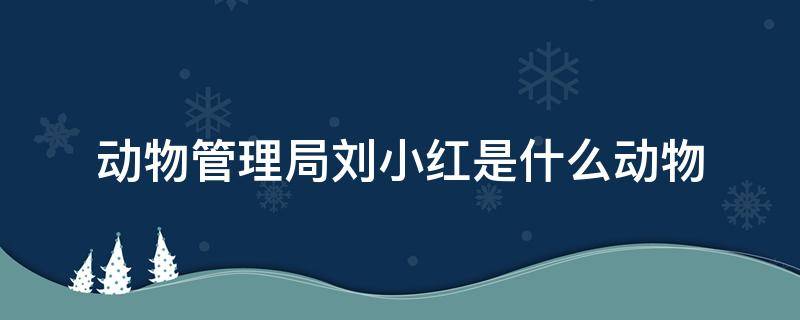 动物管理局刘小红是什么动物 动物管理局中小红是什么动物