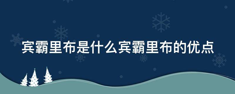 宾霸里布是什么宾霸里布的优点（宾霸布料是什么做的）