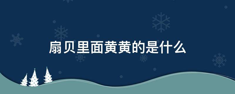 扇贝里面黄黄的是什么（扇贝里面的黄黄的东西是什么）