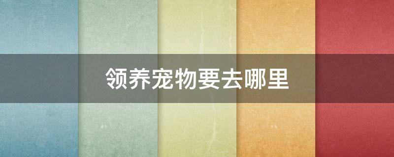 领养宠物要去哪里 领养宠物应该去哪里