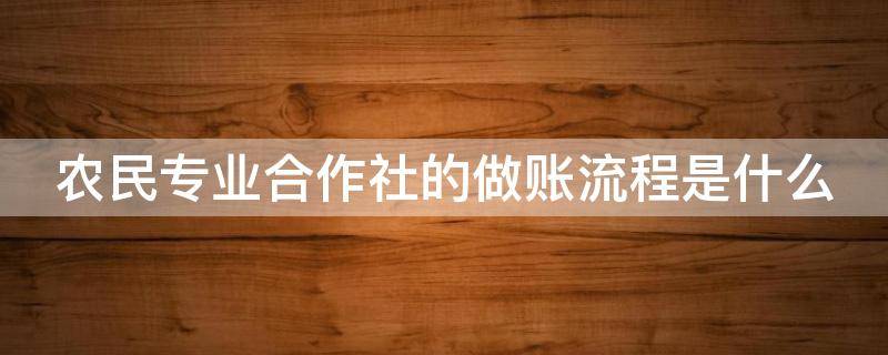 农民专业合作社的做账流程是什么（农民专业合作社的做账流程是什么呢）