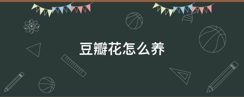 豆瓣花怎么养（豆瓣花怎么养冬天）
