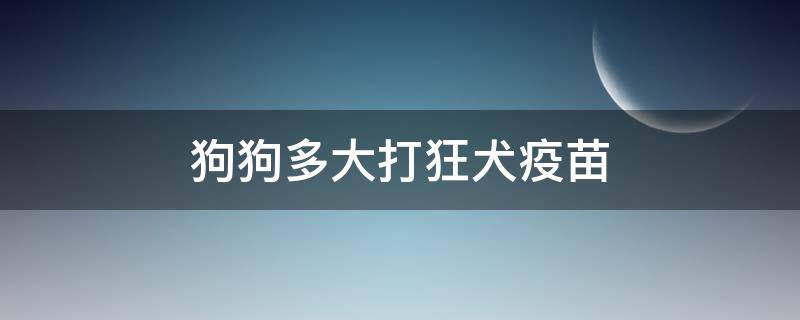 狗狗多大打狂犬疫苗（狗狗多大打狂犬疫苗怎么打,有效期多久）