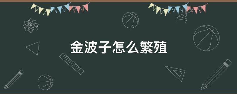 金波子怎么繁殖 金波子繁殖用什么产房