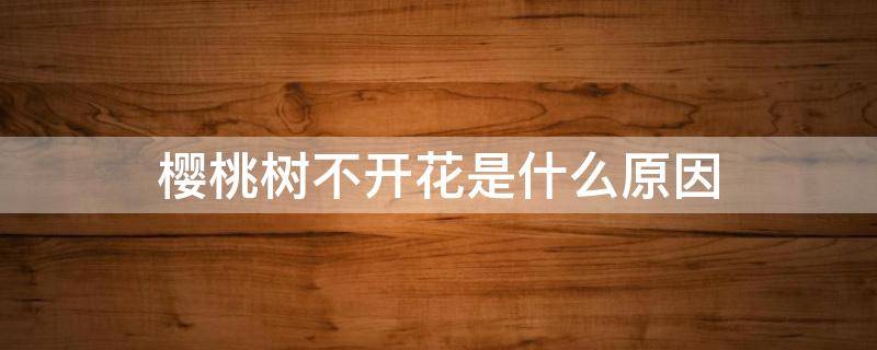 樱桃树不开花是什么原因 樱桃树不开花会结果吗