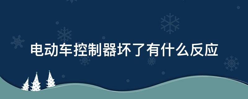 电动车控制器坏了有什么反应（雅迪电动车控制器坏了有什么反应）