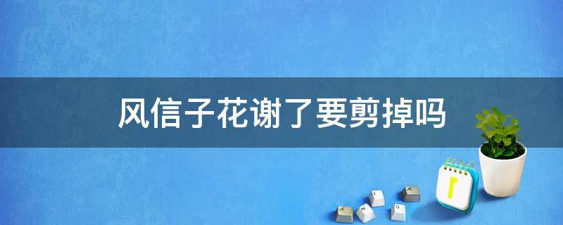 风信子花谢了要剪掉吗 风信子花谢后怎么剪