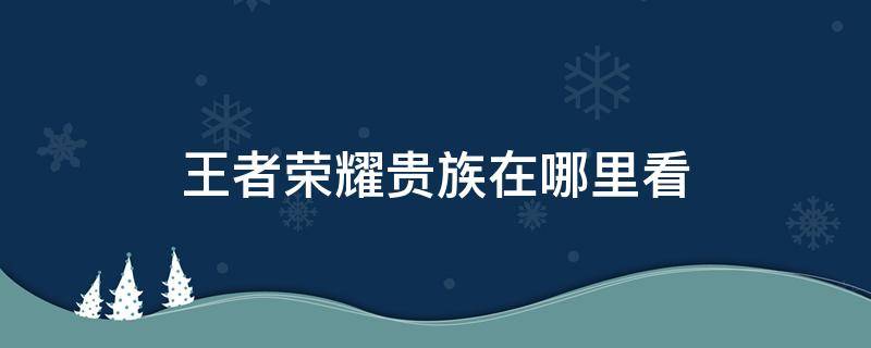 王者荣耀贵族在哪里看 王者荣耀贵族在哪里看积分