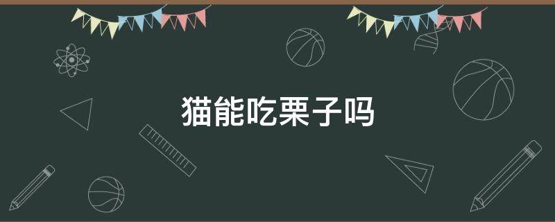 猫能吃栗子吗（猫能吃栗子吗么）